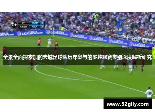 全景全面探索加的夫城足球队历年参与的多种联赛类别深度解析研究